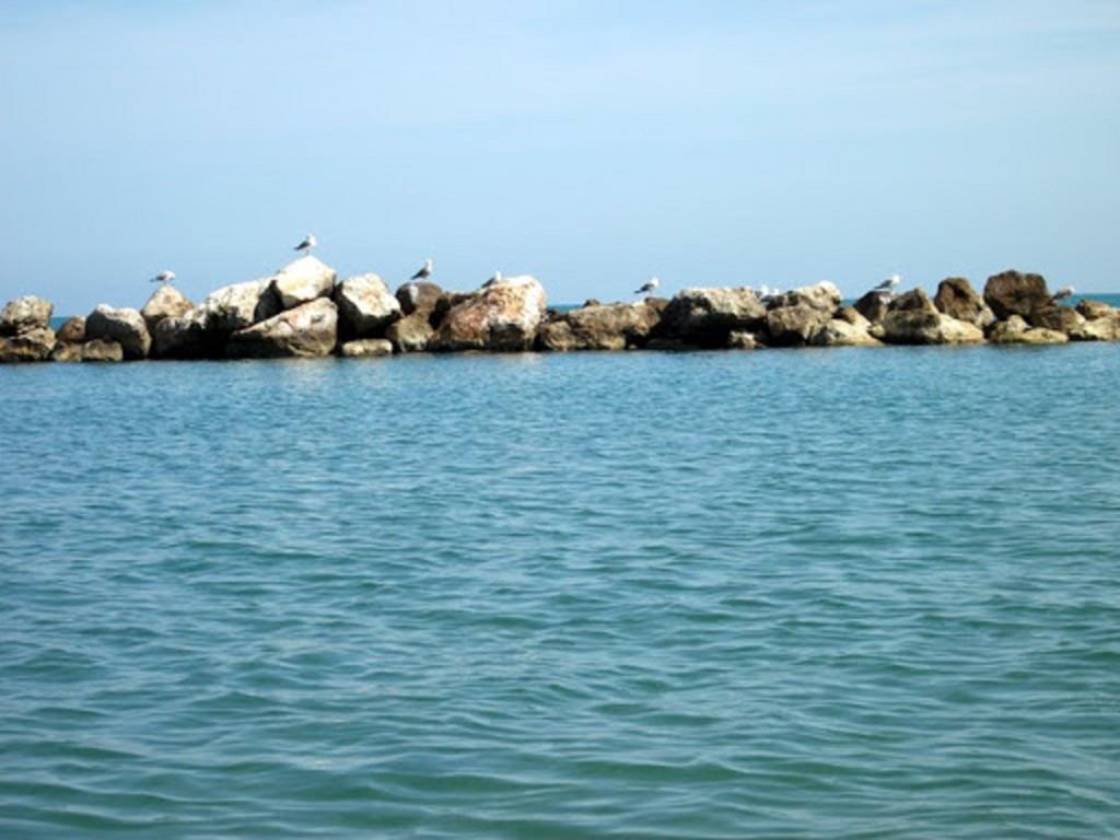 شقة Un Nido Sul Mare Montesilvano Marina المظهر الخارجي الصورة